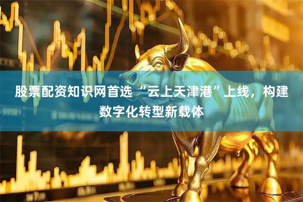 股票配资知识网首选 “云上天津港”上线，构建数字化转型新载体