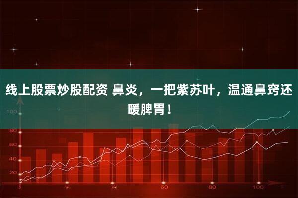 线上股票炒股配资 鼻炎，一把紫苏叶，温通鼻窍还暖脾胃！